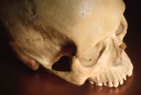 010105_0612_0008_nsls.jpg
