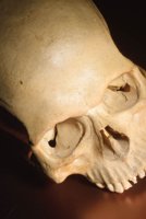 010105_0612_0005_nsls.jpg