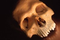 010105_0612_0004_nsls.jpg