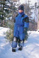 010104_0611_0032_nsls.jpg