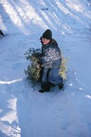 010104_0611_0023_nsls.jpg