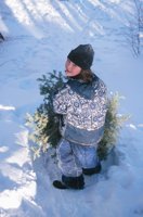 010104_0611_0022_nsls.jpg