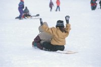 010104_0610_0001_nsls.jpg