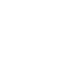 LVWHITE.GIF