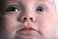 001124_0578_0002_nsls.jpg