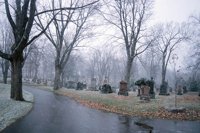 001120_0567_0013_nsls.jpg