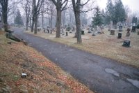 001120_0567_0008_nsls.jpg