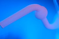 001116_0561_0069_lsls.jpg