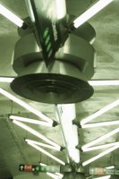 001103_0542_0005_nsls.jpg