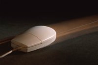 000908_0487_0003_nsls.jpg