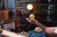000824_0473_0036_nsls.jpg