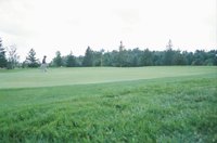 000815_0464_0063_nsls.jpg