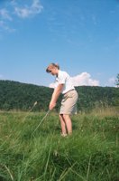 000815_0464_0012_nsls.jpg