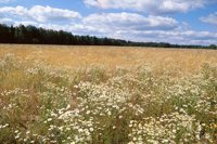 000801_0398_0016_tsls.jpg