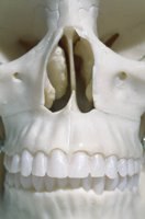 000801_0357_0102_tsls.jpg
