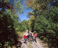 000801_0336_1780_tsls.jpg