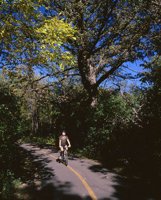 000801_0336_1130_tsls.jpg