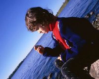 000801_0336_1000_tsls.jpg