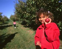 000801_0336_0570_tsls.jpg