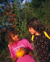000801_0336_0390_tsls.jpg