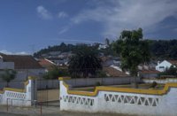 P0109337.jpg