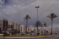 P0109302.jpg