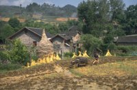 P0108786.jpg