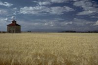 P0108769.jpg