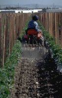 P0108652.jpg