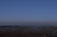 P0108645.jpg