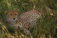 P0102213.jpg