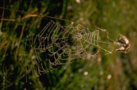 P0102055.jpg