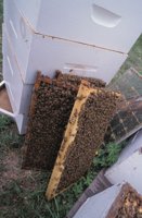 010712_0845_0055_nsls.jpg