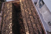 010712_0845_0052_nsls.jpg