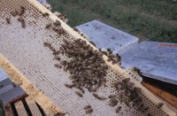 010712_0845_0037_nsls.jpg