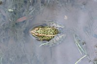 010709_0842_0048_nsls.jpg