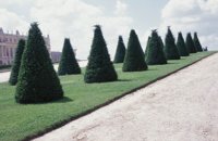 010704_0832_0707_nsls.jpg