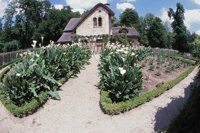 010704_0832_0695_nsls.jpg