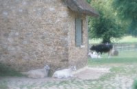 010704_0832_0683_nsls.jpg