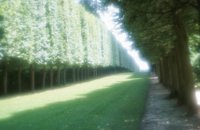 010704_0832_0680_nsls.jpg