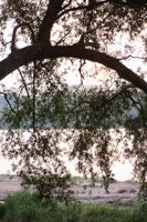 010704_0832_0211_nsls.jpg
