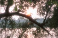 010704_0832_0210_nsls.jpg