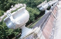 010704_0832_0187_nsls.jpg