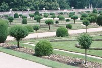 010704_0832_0183_nsls.jpg