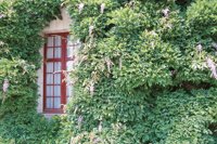 010704_0832_0181_nsls.jpg