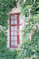 010704_0832_0180_nsls.jpg