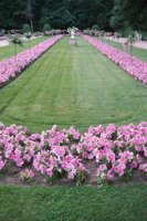 010704_0832_0175_nsls.jpg
