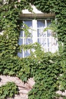 010704_0832_0112_nsls.jpg