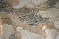 010704_0832_0109_nsls.jpg