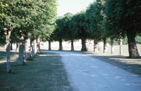010704_0832_0108_nsls.jpg